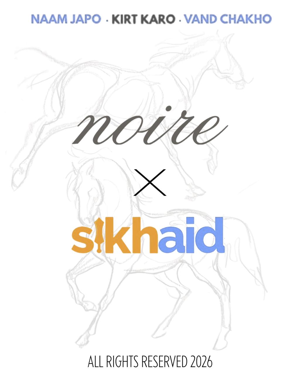 SikhAid x Noire Official Collaboration Art Poster